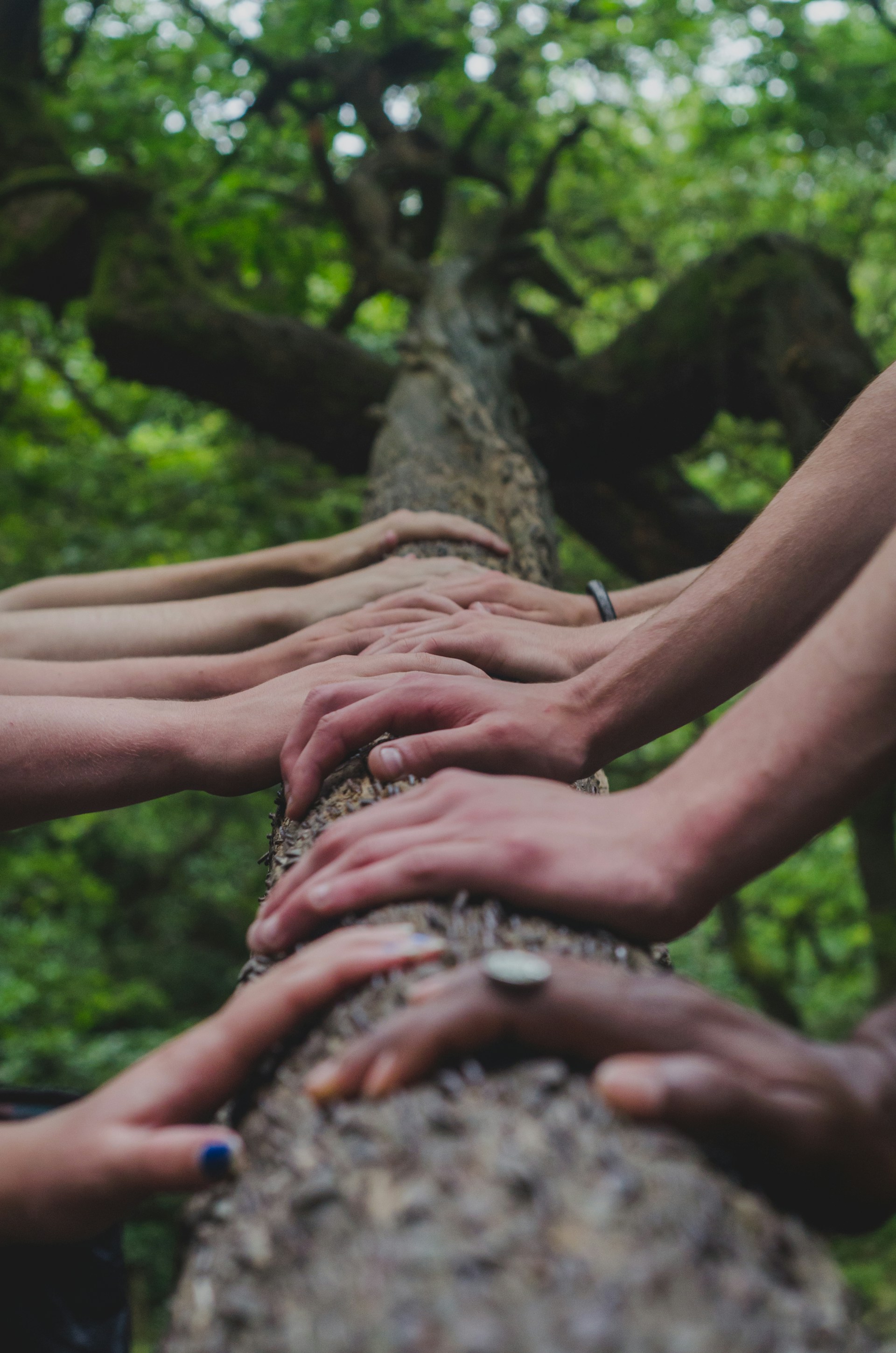 Sustainability and Harmony
