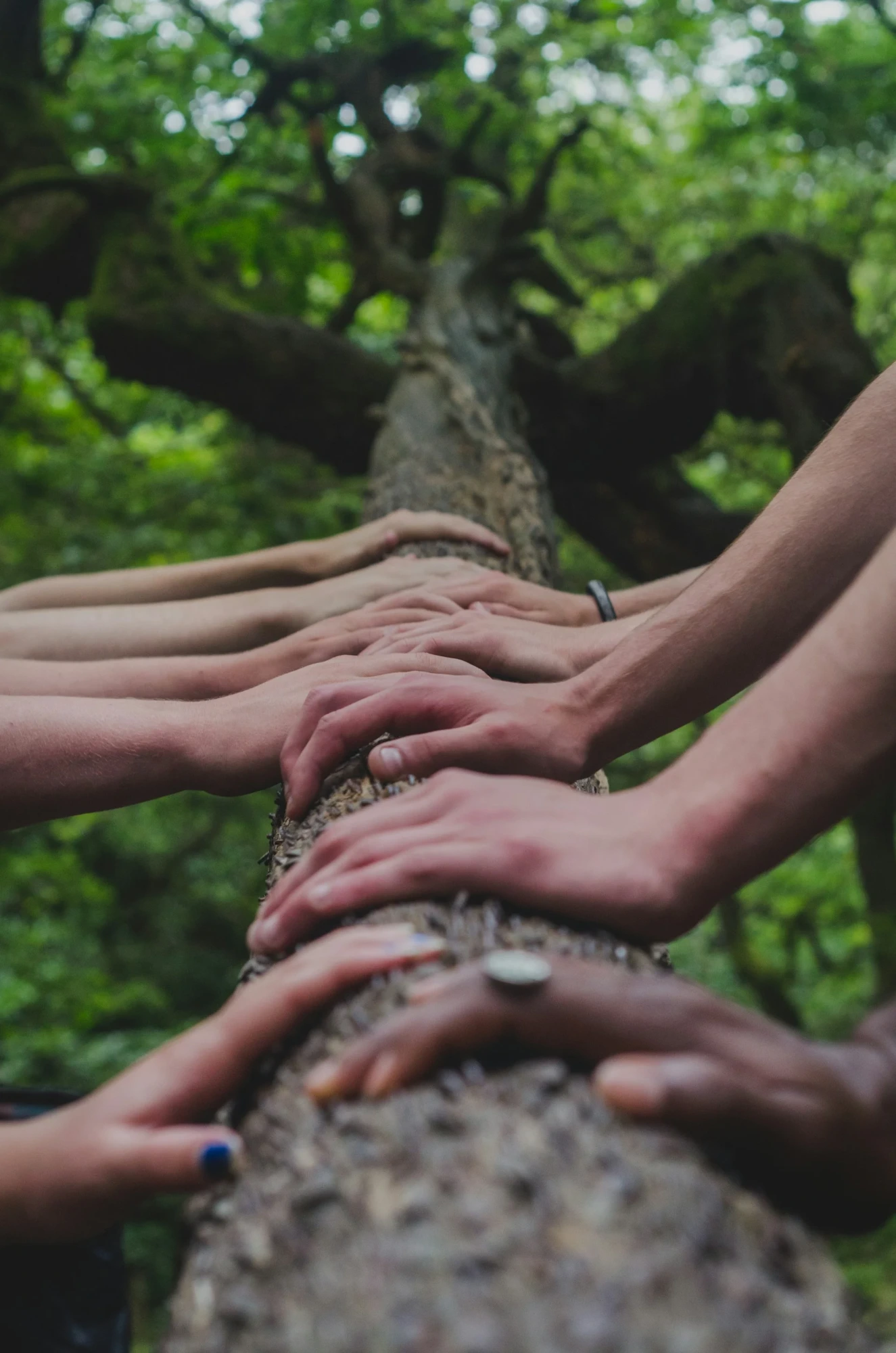 Sustainability and Harmony